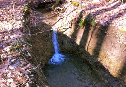 Buck Creek Trail - 3
